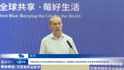 中國藍莓產業發展呈現六大態勢 社會經濟咨詢視角