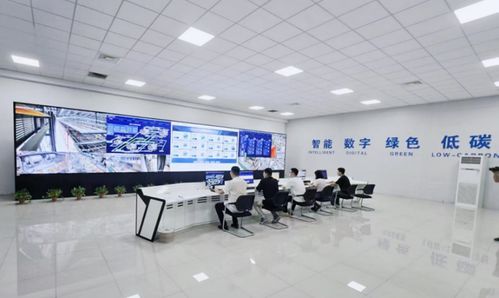 一座工廠的突圍之路 大連電瓷副董事長(zhǎng)兼總經(jīng)理應(yīng)瑩庭與百年絕緣子企業(yè)的轉(zhuǎn)型智慧